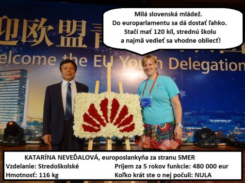 Dobré rady smeráckej europoslankyne